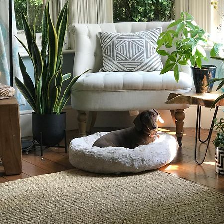 Dawn And Dudley The Sausage Dog'S Parkside Home 런던 외부 사진