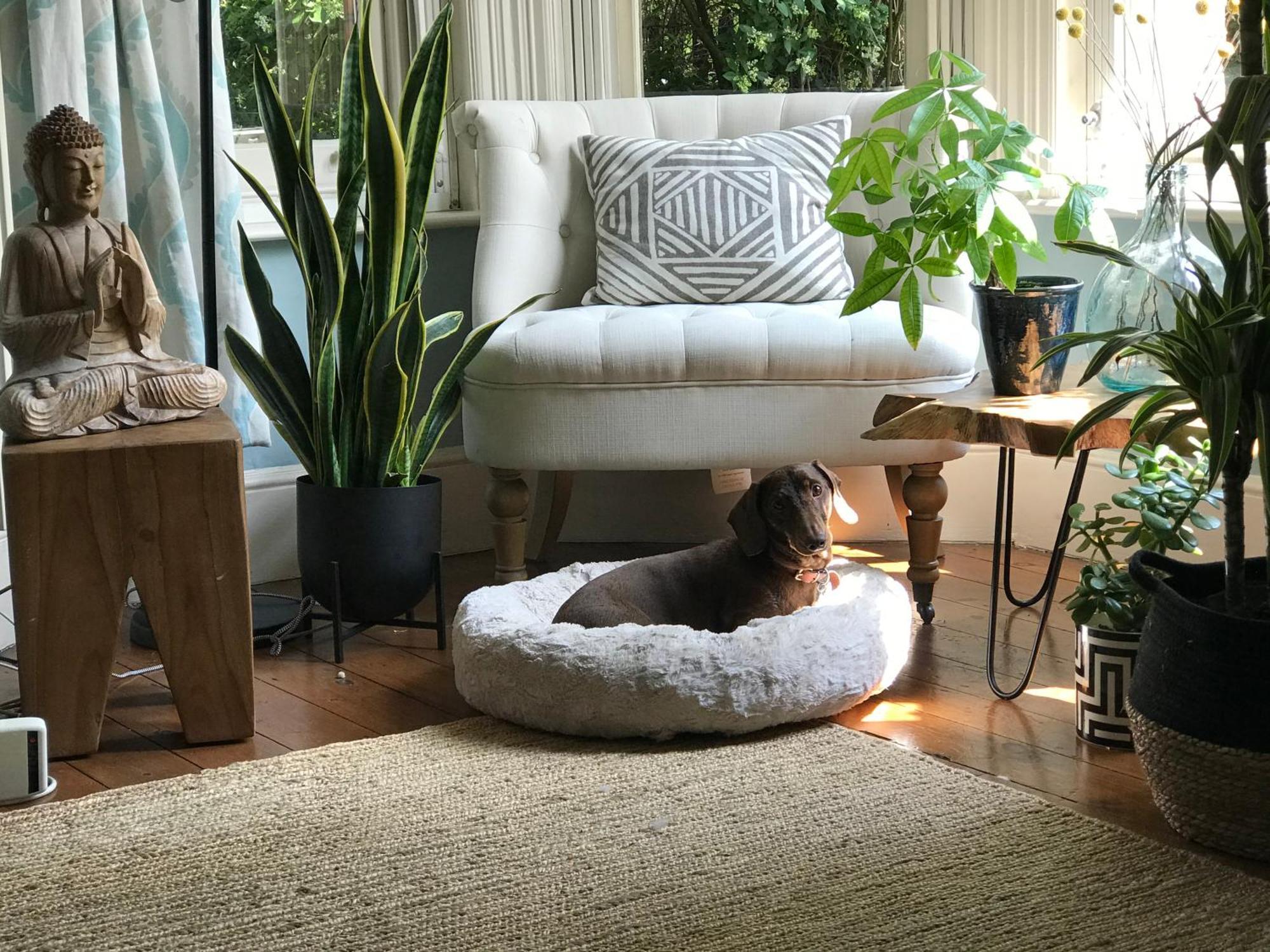 Dawn And Dudley The Sausage Dog'S Parkside Home 런던 외부 사진
